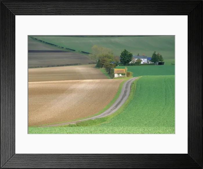 Framed Print : Old Winchester Hill, Hampshire, England Framed Print : Old Winchester Hill, Hampshire, England