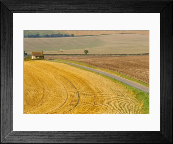 Framed Print : Old Winchester Hill, Hampshire, England Framed Print : Old Winchester Hill, Hampshire, England