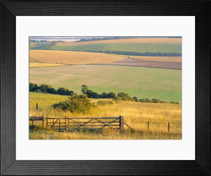 Framed Print : Old Winchester Hill, Hampshire, England Framed Print : Old Winchester Hill, Hampshire, England