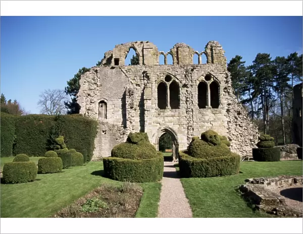 Wenlock Priory and topiary, Much Wenlock, Shropshire, England, United Kingdom, Europe