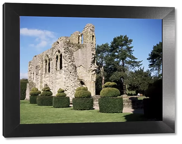 Wenlock Priory and topiary, Much Wenlock, Shropshire, England, United Kingdom, Europe