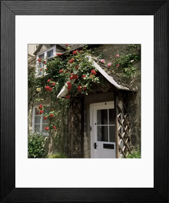Framed Print : Roses round the door, Vineyard Street, Winchcombe, Gloucestershire, England Framed Print : Roses round the door, Vineyard Street, Winchcombe, Gloucestershire, England