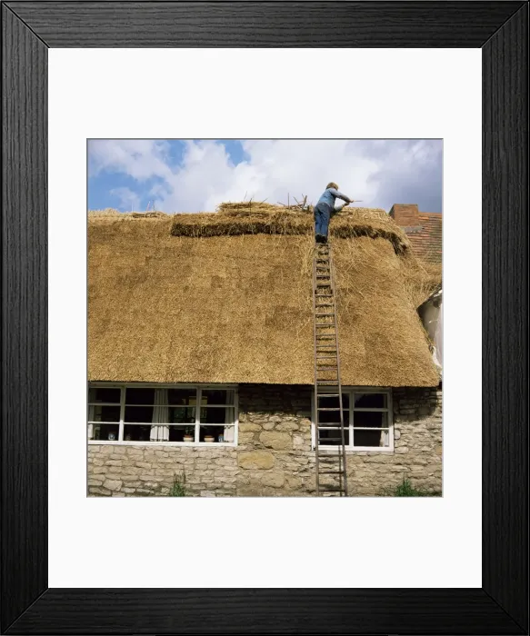 Framed Print : Thatching at The George, Stanton St. John, Oxfordshire, England, United Kingdom, Europe Framed Print : Thatching at The George, Stanton St. John, Oxfordshire, England, United Kingdom, Europe