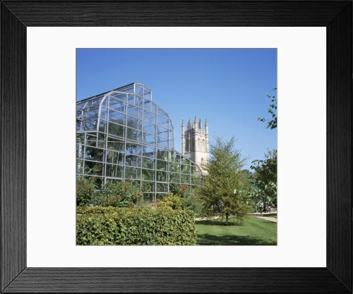 Framed Print : Glass house and Magdalen College Tower, Oxford Botanic Gardens, Oxford Framed Print : Glass house and Magdalen College Tower, Oxford Botanic Gardens, Oxford