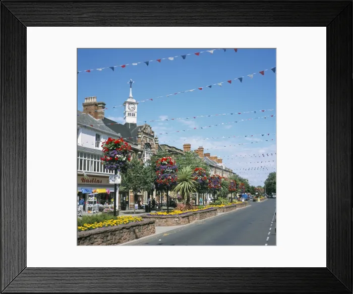 Framed Print : Town Hall and town in Britain in Bloom competition, Minehead, Somerset Framed Print : Town Hall and town in Britain in Bloom competition, Minehead, Somerset