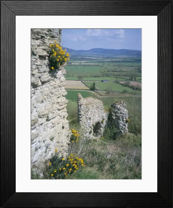 Framed Print : View from the keep, with wallflowers, Wigmore Castle, managed by English Heritage