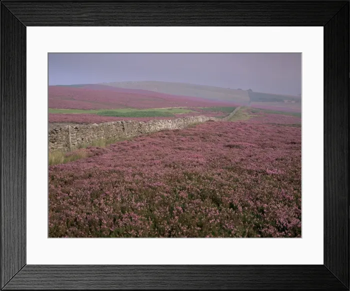 Framed Print : Moors near Grinton, Yorkshire, England, United Kingdom, Europe Framed Print : Moors near Grinton, Yorkshire, England, United Kingdom, Europe