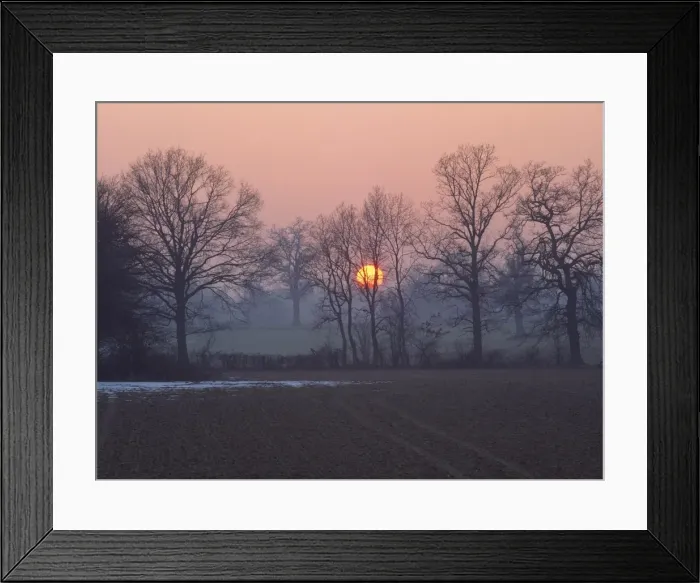 Framed Print : Sunset over farmland and bare trees in silhouette in winter in the Medway Valley near Tonbridge Framed Print : Sunset over farmland and bare trees in silhouette in winter in the Medway Valley near Tonbridge