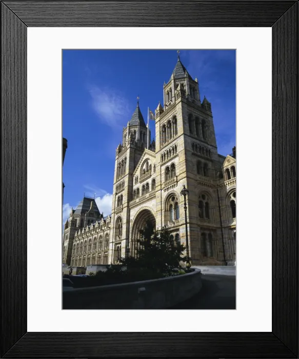 Framed Print : The Natural History Museum, South Kensington, London, England, UK, Europe Framed Print : The Natural History Museum, South Kensington, London, England, UK, Europe