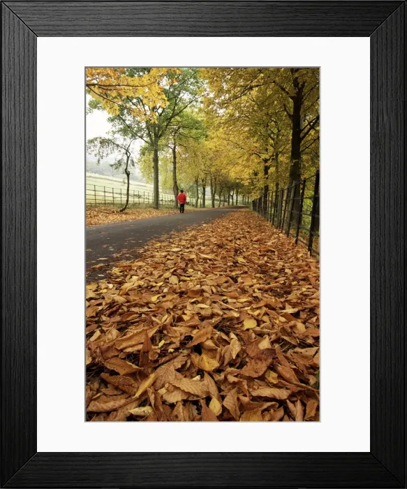 Framed Print : Autumn leaves and lone figure at More Hall Reservoir, South Yorkshire, England