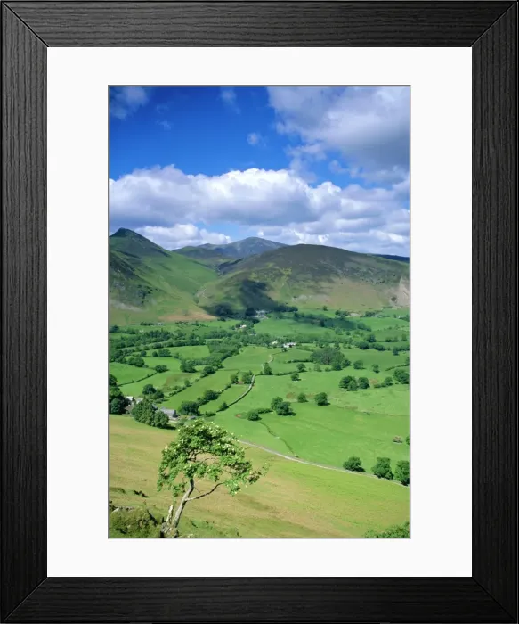Framed Print : Derwent Fells from Cat Bells, Lake District National Park, Cumbria, England, UK Framed Print : Derwent Fells from Cat Bells, Lake District National Park, Cumbria, England, UK