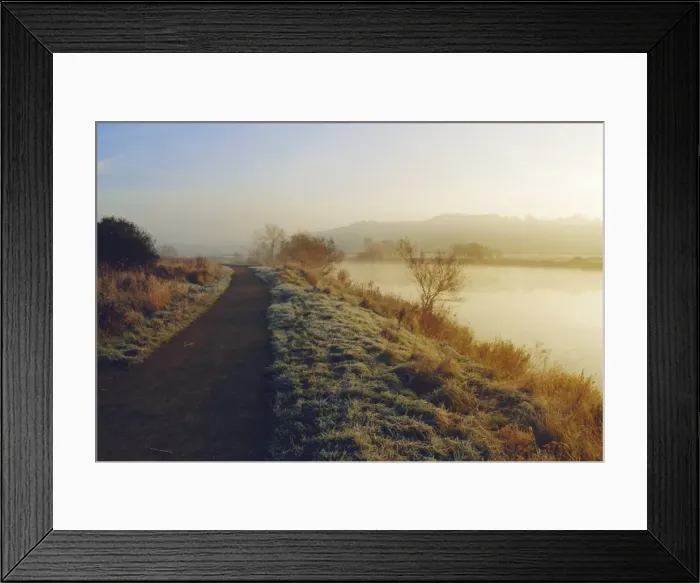 Framed Print : Frosty river bank, River Trent, Attenborough, Nottinghamshire, England Framed Print : Frosty river bank, River Trent, Attenborough, Nottinghamshire, England