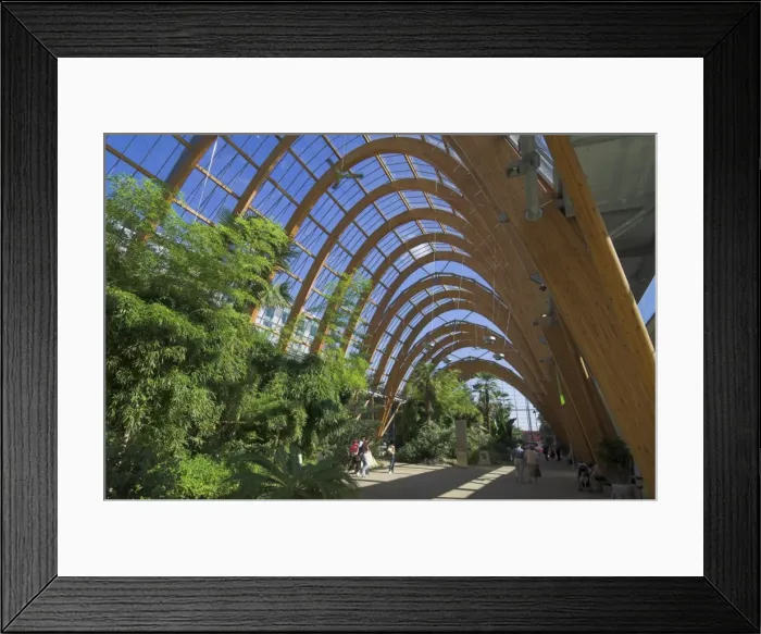Framed Print : Millennium Winter Gardens, Sheffield, Yorkshire, England, United Kingdom, Europe Framed Print : Millennium Winter Gardens, Sheffield, Yorkshire, England, United Kingdom, Europe