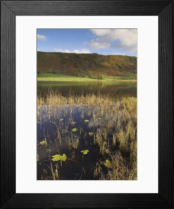 Framed Print : Autumn colours, Watendlath Tarn, Borrowdale, Lake District National Park Framed Print : Autumn colours, Watendlath Tarn, Borrowdale, Lake District National Park