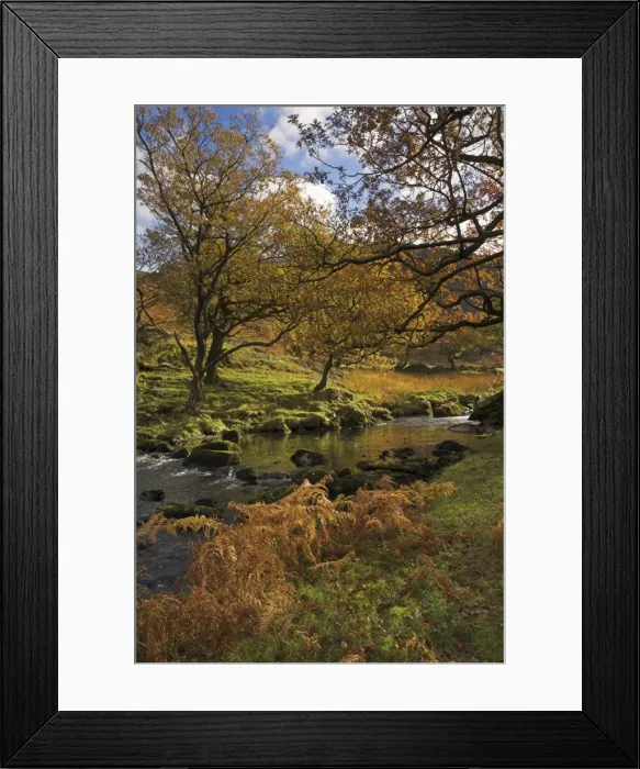 Framed Print : Autumn colours, Watendlath Beck, Borrowdale, Lake District National Park Framed Print : Autumn colours, Watendlath Beck, Borrowdale, Lake District National Park