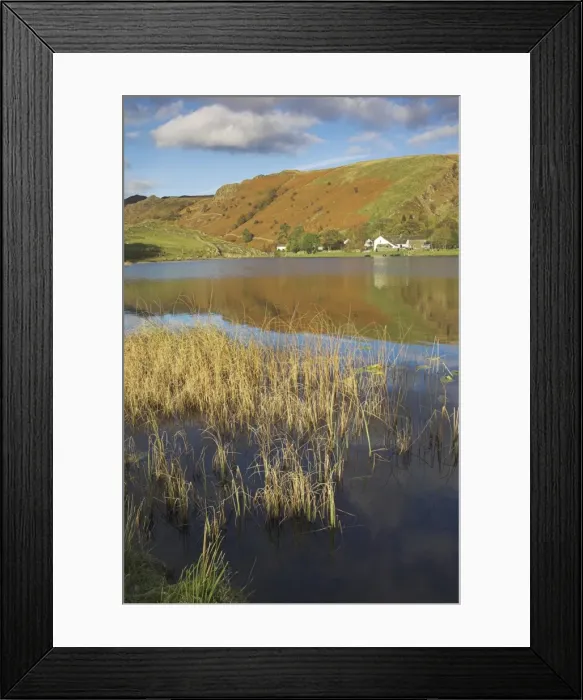 Framed Print : Autumn colours, Watendlath Tarn, Borrowdale, Lake District National Park Framed Print : Autumn colours, Watendlath Tarn, Borrowdale, Lake District National Park