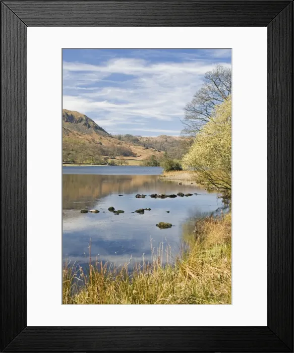 Framed Print : The Wordsworth lake, Rydal Water, Lake District National Park, Cumbria Framed Print : The Wordsworth lake, Rydal Water, Lake District National Park, Cumbria