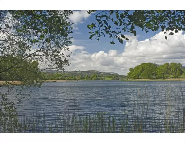 Esthwaite Water, Beatrix Potter country, Lake District National Park, Cumbria