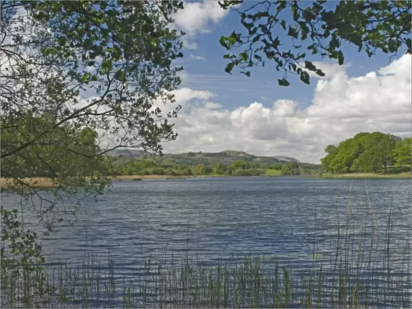 Esthwaite Water, Beatrix Potter country, Lake District National Park, Cumbria