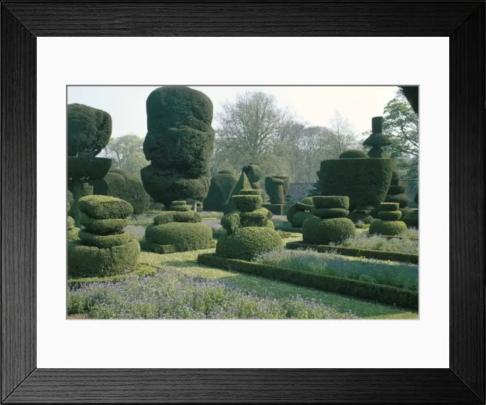 Framed Print : Topiary, Levens Hall, Cumbria, England, United Kingdom, Europe Framed Print : Topiary, Levens Hall, Cumbria, England, United Kingdom, Europe