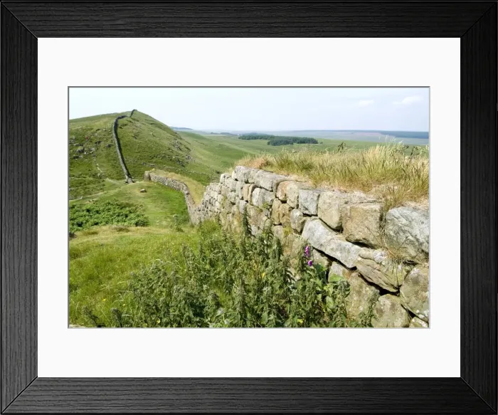 Framed Print : Hadrians Wall, near Housesteads, UNESCO World Heritage Site, Northumberland Framed Print : Hadrians Wall, near Housesteads, UNESCO World Heritage Site, Northumberland