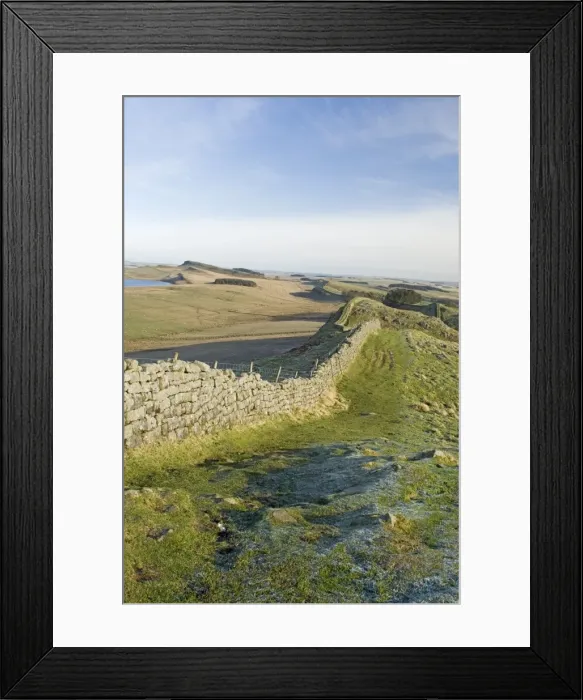 Framed Print : Looking east at Holbank Crags showing course of wall to Sewingshields Crag Framed Print : Looking east at Holbank Crags showing course of wall to Sewingshields Crag