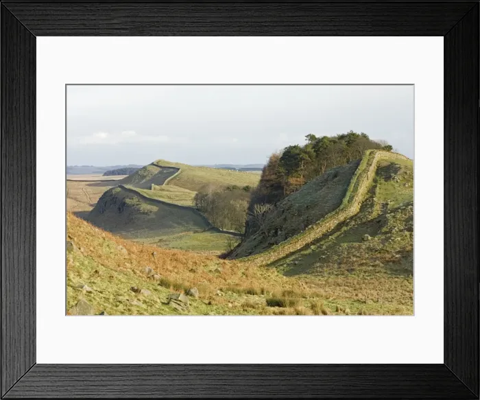 Framed Print : Looking east from Housesteads Crag and wood to Kennel Crags, Kings Hill Framed Print : Looking east from Housesteads Crag and wood to Kennel Crags, Kings Hill