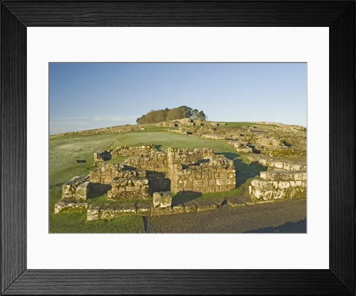 Framed Print : Part of Housesteads Roman Fort, looking up to Housesteads Wood, Hadrians Wall Framed Print : Part of Housesteads Roman Fort, looking up to Housesteads Wood, Hadrians Wall