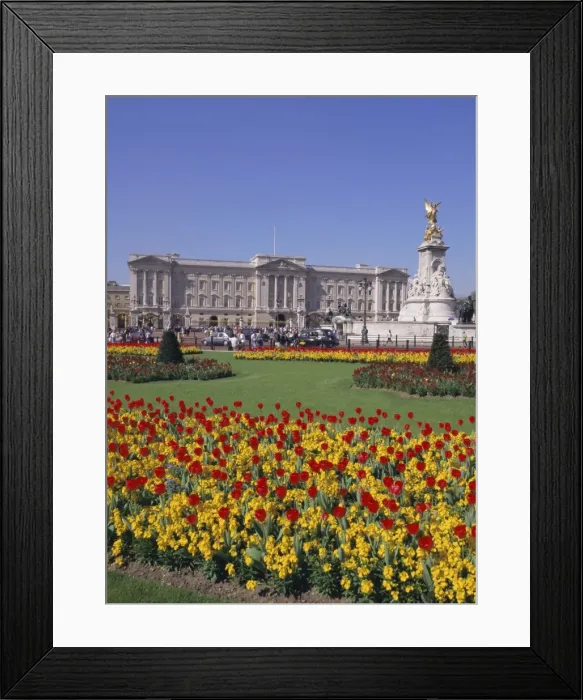 Framed Print : Buckingham Palace, London, England, UK, Europe Framed Print : Buckingham Palace, London, England, UK, Europe