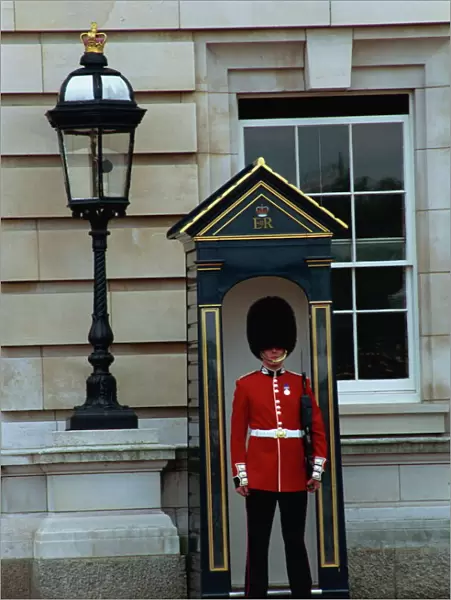 Portrait of a guard in a bearskin busby standing in front of a sentry box outside Buckingham Palace