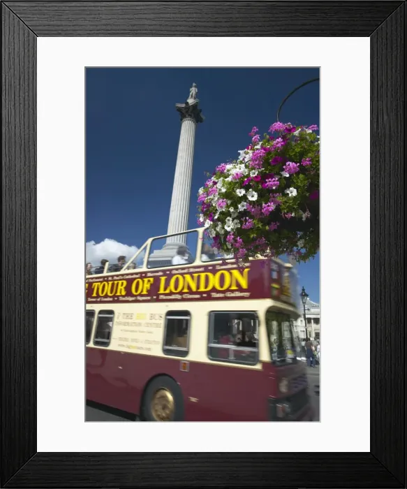 Framed Print : London tour bus passing Nelsons Column, Trafalgar Square, London, England Framed Print : London tour bus passing Nelsons Column, Trafalgar Square, London, England