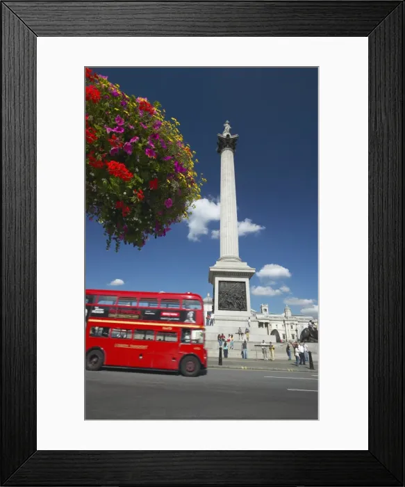 Framed Print : Routemaster bus passing Nelsons Column, Trafalgar Square, London, England Framed Print : Routemaster bus passing Nelsons Column, Trafalgar Square, London, England