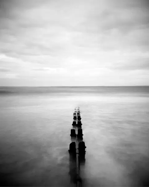Image taken with a Holga medium format 120 film toy camera of view out to North Sea at dusk with sea washing around old wooden groynes, Alnmouth, Northumberland, England, United