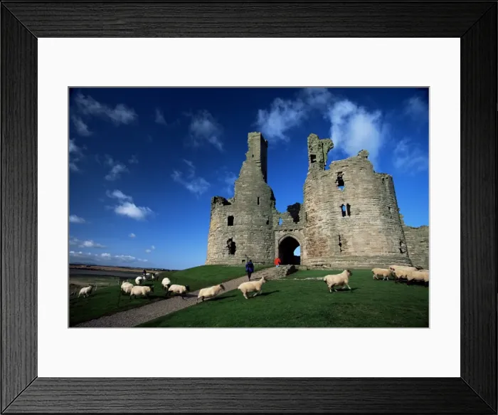 Framed Print : Dunstanburgh Castle, Northumbria, England, United Kingdom, Europe Framed Print : Dunstanburgh Castle, Northumbria, England, United Kingdom, Europe