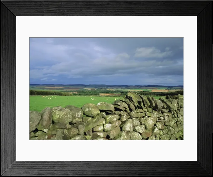 Framed Print : Dry stone wall near Doddington, Northumbria (Northumberland), England, UK, Europe Framed Print : Dry stone wall near Doddington, Northumbria (Northumberland), England, UK, Europe