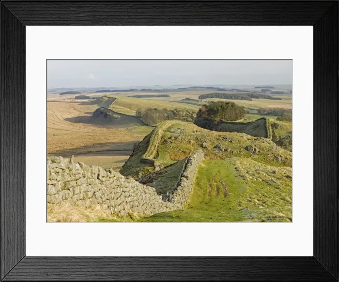Framed Print : Looking east from Holbank Crags showing course of the Roman wall past Housesteads Wood to Sewingshields Crag, Hadrians Wall, UNESCO World Heritage Site, Northumbria (Northumberland), England, United Framed Print : Looking east from Holbank Crags showing course of the Roman wall past Housesteads Wood to Sewingshields Crag, Hadrians Wall, UNESCO World Heritage Site, Northumbria (Northumberland), England, United