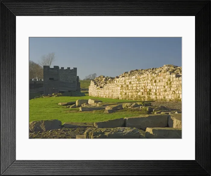 Framed Print : South wall of Roman Fort at Vindolanda, looking west to reconstruction Framed Print : South wall of Roman Fort at Vindolanda, looking west to reconstruction