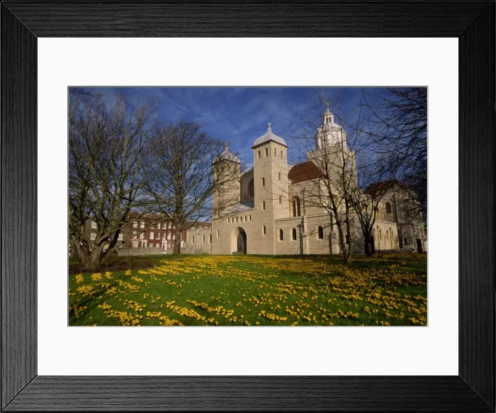 Framed Print : Crocuses outside the Cathedral, Portsmouth, Hampshire, England, United Kingdom, Europe Framed Print : Crocuses outside the Cathedral, Portsmouth, Hampshire, England, United Kingdom, Europe