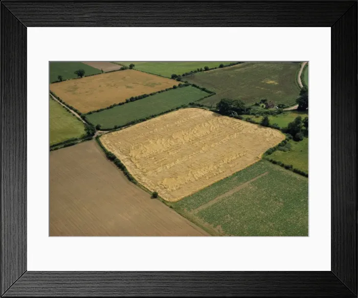 Framed Print : Agricultural landscape on Essex Suffolk border, England, United Kingdom, Europe Framed Print : Agricultural landscape on Essex Suffolk border, England, United Kingdom, Europe