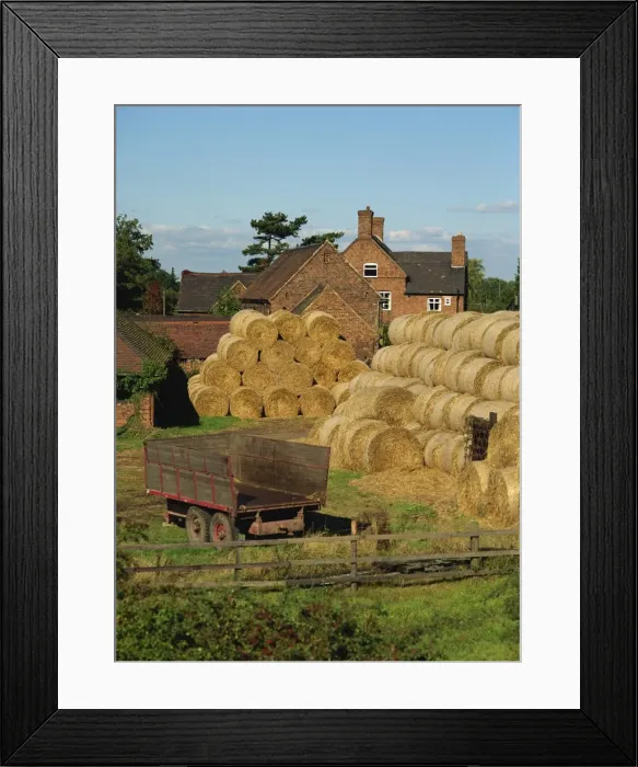 Framed Print : Piles of straw bales and a trailer outside a farm house on an afternoon in autumn near Kingsbury