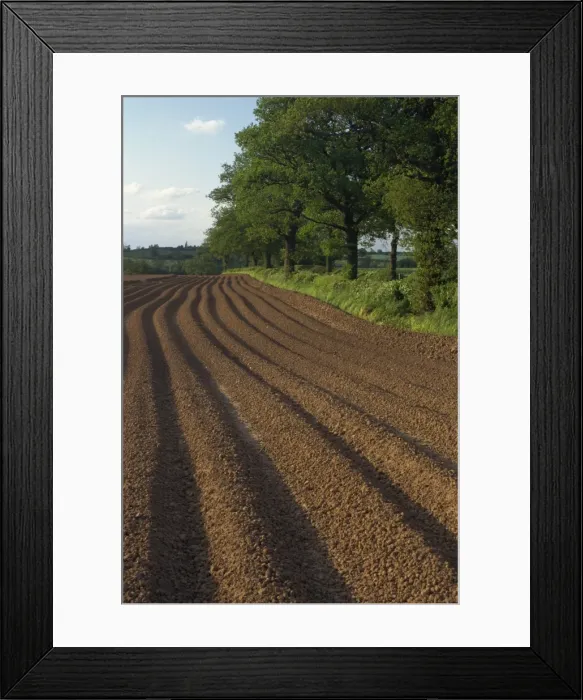 Framed Print : Furrows in a ploughed field near Coleshill in Warwickshire, England, United Kingdom Framed Print : Furrows in a ploughed field near Coleshill in Warwickshire, England, United Kingdom