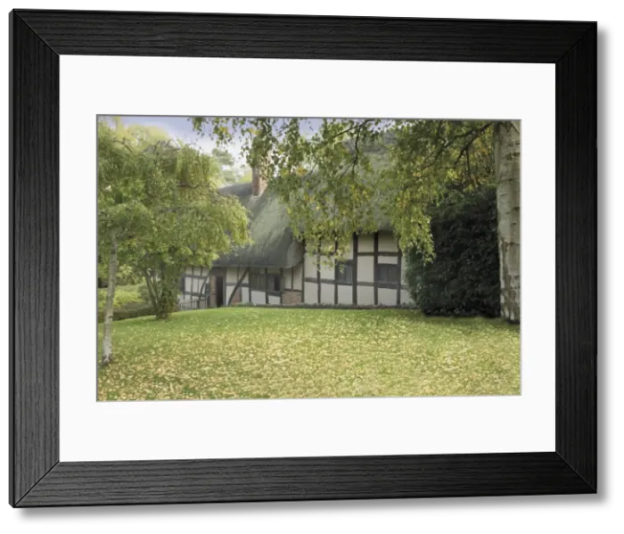 Framed Print : Anne Hathaways cottage (William Shakespeares wife), Shottery Framed Print : Anne Hathaways cottage (William Shakespeares wife), Shottery