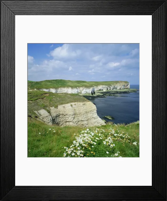 Framed Print : Selwicks Bay, Flamborough Head, coast of Humberside, England, UK, Europe Framed Print : Selwicks Bay, Flamborough Head, coast of Humberside, England, UK, Europe