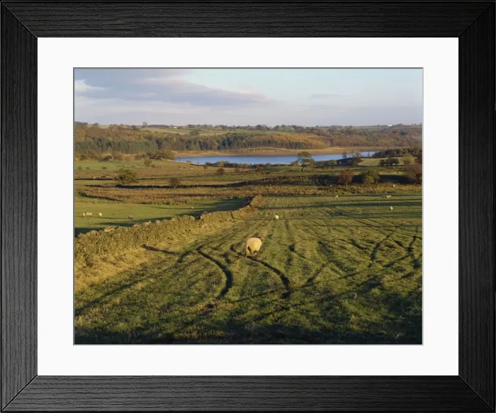 Framed Print : The Yorkshire Dales, Yorkshire, England, United Kingdom, Europe Framed Print : The Yorkshire Dales, Yorkshire, England, United Kingdom, Europe