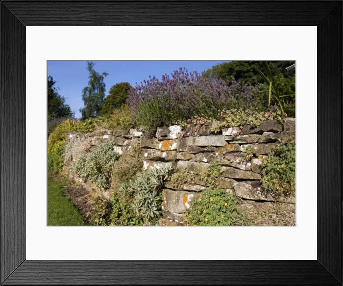 Framed Print : Drystone wall, Grassington, Yorkshire Dales National Park, North Yorkshire Framed Print : Drystone wall, Grassington, Yorkshire Dales National Park, North Yorkshire