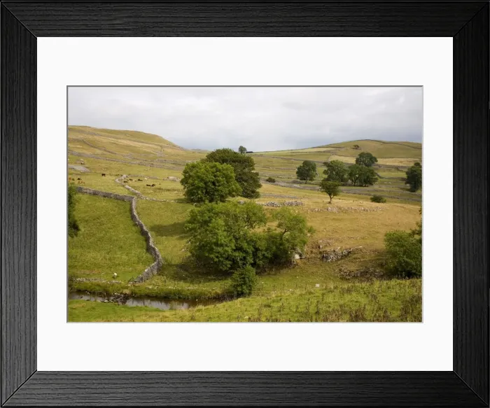 Framed Print : Drystone walls and limestone scenery near Malham, Yorkshire Dales National Park Framed Print : Drystone walls and limestone scenery near Malham, Yorkshire Dales National Park