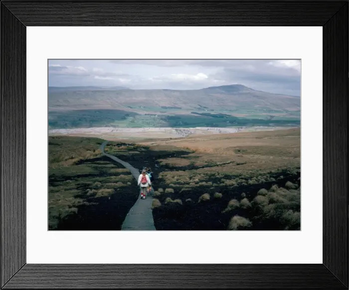 Framed Print : Land boardwalk laid to prevent path erosion, Yorkshire Dales, England, United Kingdom Framed Print : Land boardwalk laid to prevent path erosion, Yorkshire Dales, England, United Kingdom