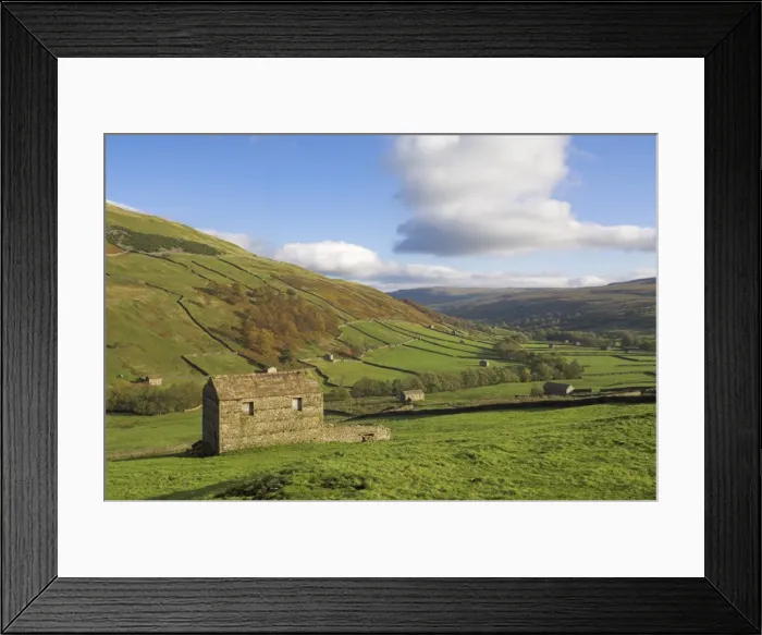 Framed Print : Stone barns in Swaledale, near Keld, Yorkshire Dales National Park, Yorkshire Framed Print : Stone barns in Swaledale, near Keld, Yorkshire Dales National Park, Yorkshire