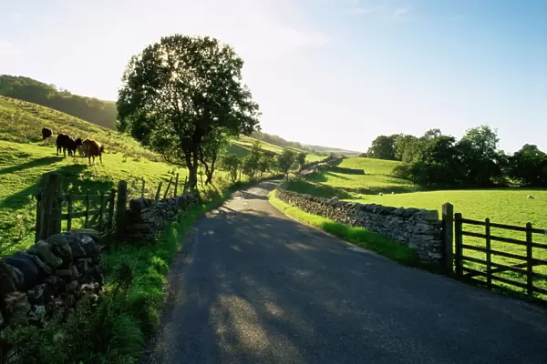 Countryside in Langstrothdale, Yorkshire Dales National Park, Yorkshire