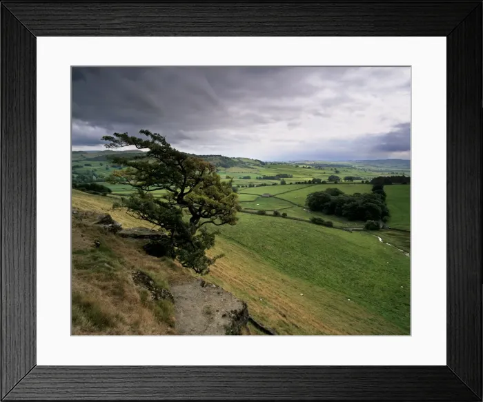 Framed Print : Landscape near Austwick, Yorkshire Dales National Park, Yorkshire, England Framed Print : Landscape near Austwick, Yorkshire Dales National Park, Yorkshire, England
